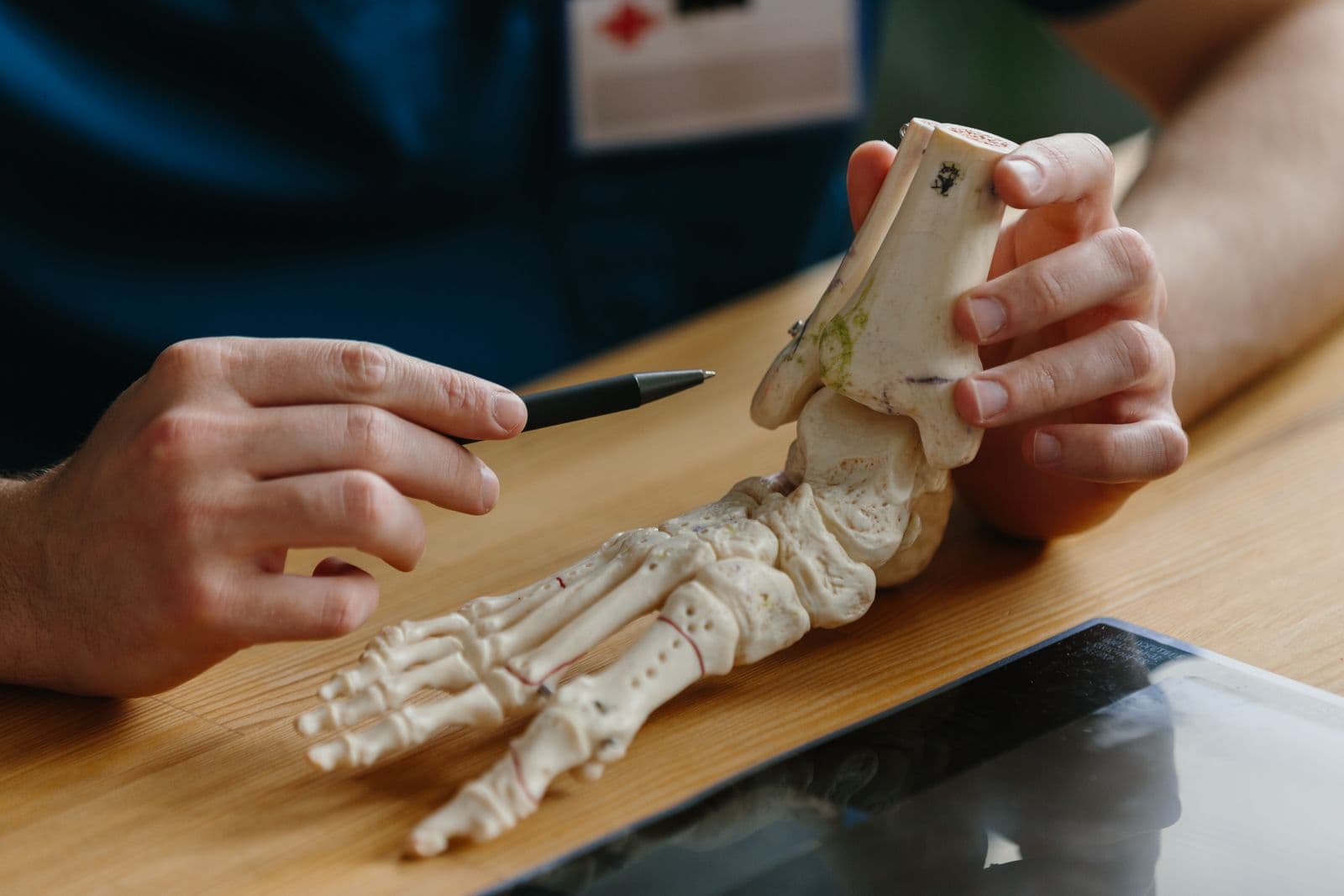 Catálogo de Productos