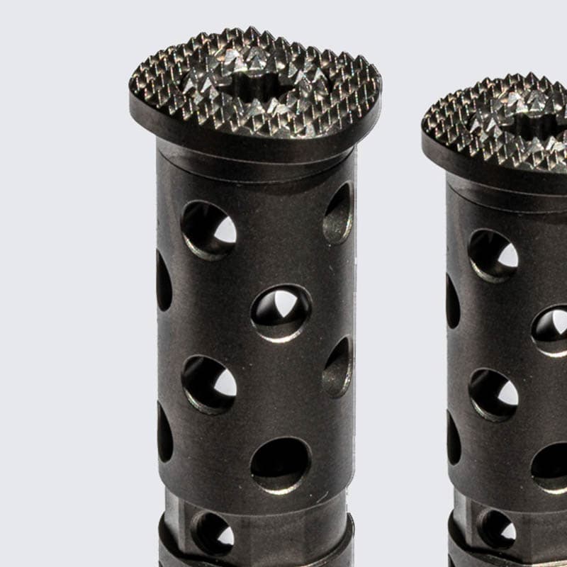 Sistema de reemplazo del cuerpo vertebral cervical - LEANDER®