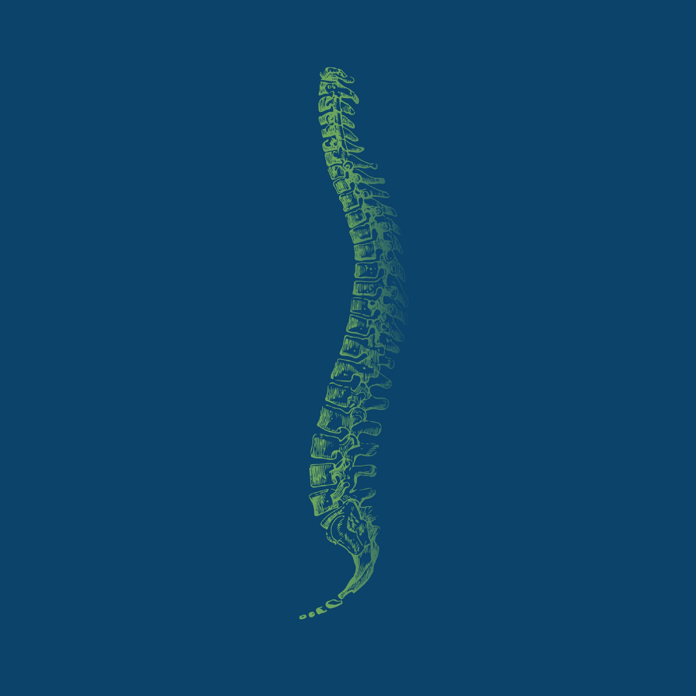 Spine